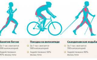 Эффективные способы похудения — советы и рекомендации