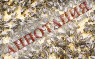 Применение подмора в различных сферах