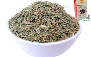 Польза хвои кедра для здоровья