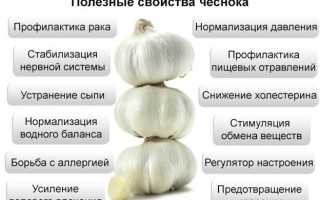 Чем полезен чеснок для диабетиков