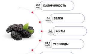 Польза чернослива — сухофрукт для здоровья