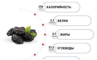 Польза чернослива — сухофрукт для здоровья