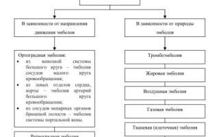 Виды эмболов — Классификация и особенности