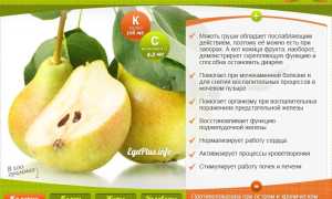 Груша для женщин после 50 — польза и преимущества