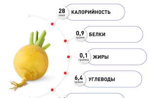 Репа — источник витаминов и микроэлементов