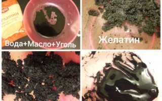 Маска из угля и желатина — Рецепты — Польза — Вред