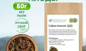 Софора японская — применение и инструкция по использованию