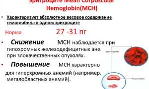 Пониженный уровень Gran в анализе крови — что это значит?