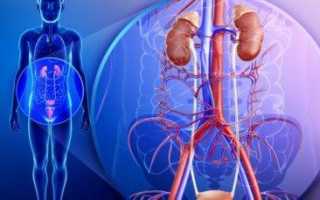 Ротация почки