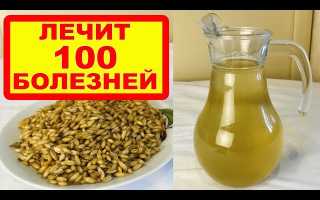 Отвар овса при пиелонефрите