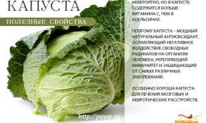 Состав и польза капусты для здоровья