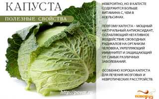 Состав и польза капусты для здоровья