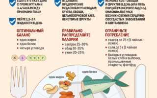 Правила здорового правильного питания — Это просто!