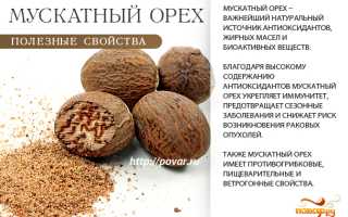 Польза мускатного ореха для здоровья