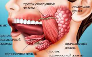 Закупорка слюнных желез — причины, симптомы и лечение