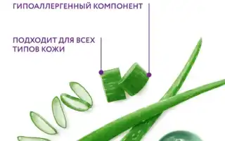Алоэ — Польза и Применение в Медицине и Косметологии