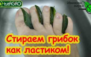 Избавляемся от грибка на ногтях народными методами