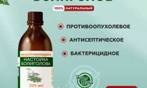 Правильный способ употребления настойки болиголова