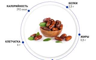 Финики в день при похудении — норма и польза