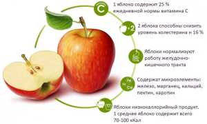 Химический состав зеленого яблока