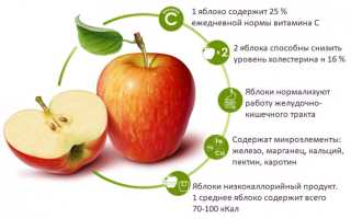 Химический состав зеленого яблока