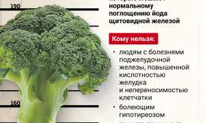 Йод в брокколи — сколько содержится и почему это важно