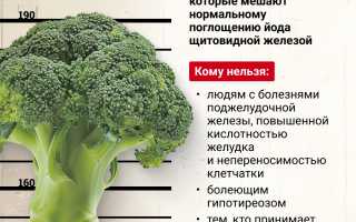 Йод в брокколи — сколько содержится и почему это важно