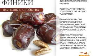 Как финики помогают восстановить здоровье