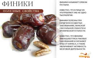 Как финики помогают восстановить здоровье