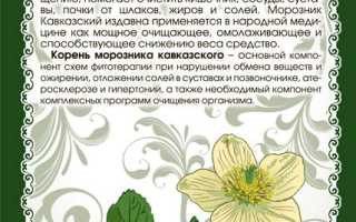 Морозник — Лечебные свойства и польза для здоровья