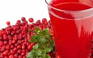 Возраст, с которого можно давать клюквенный морс ребенку