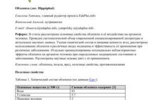 Полезные свойства облепихи — Лекарство от 1000 болезней