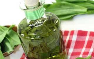 Применение золотого уса в настойке
