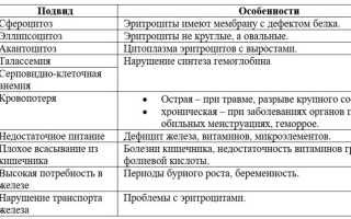 Анемия 2 степени — эффективные методы лечения у взрослых