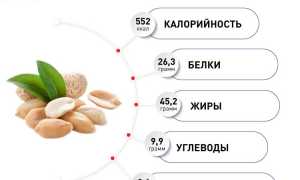 Арахис — норма употребления в день для мужчин