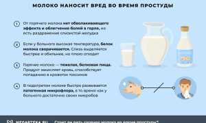 Горячее молоко при бронхите — польза или вред?