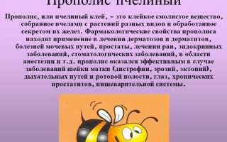 Польза пчелиного прополиса для здоровья