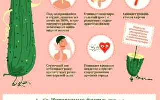 Витамины в свежих огурцах — польза для здоровья