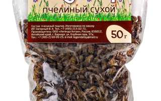 Польза подмора пчел для здоровья и красоты