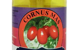 Кизил и сахарный диабет 2 типа — можно ли есть?