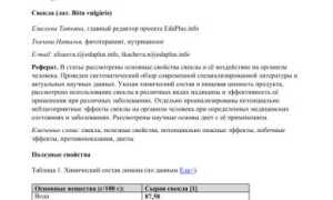 Химический состав свеклы — польза и свойства