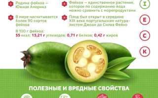 Польза фейхоа для женского здоровья