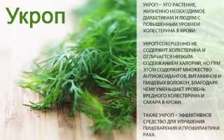 Микроэлементы в укропе — польза для здоровья