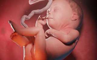 Выделения на 27 неделе беременности — что нужно знать