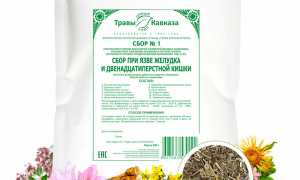 Травы для лечения язвы желудка — эффективные средства
