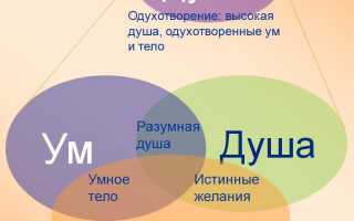 Расшифровка слова «Дуз» — значение и происхождение