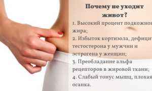 Что нужно исключить из рациона для уменьшения жира на животе