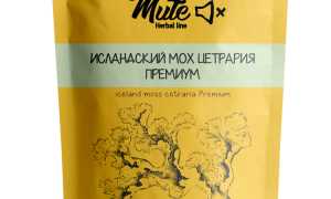 Исландский мох — помощник в похудении