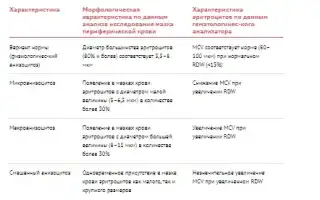 Анизоцитоз — Причины, Симптомы и Лечение