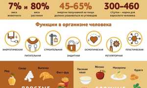 Быстрые углеводы — что к ним относится